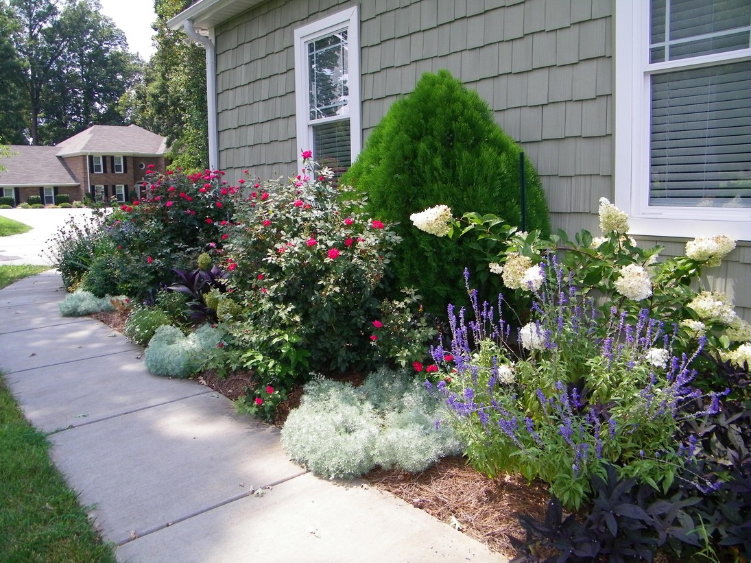 The combination of plants in garden landscaping