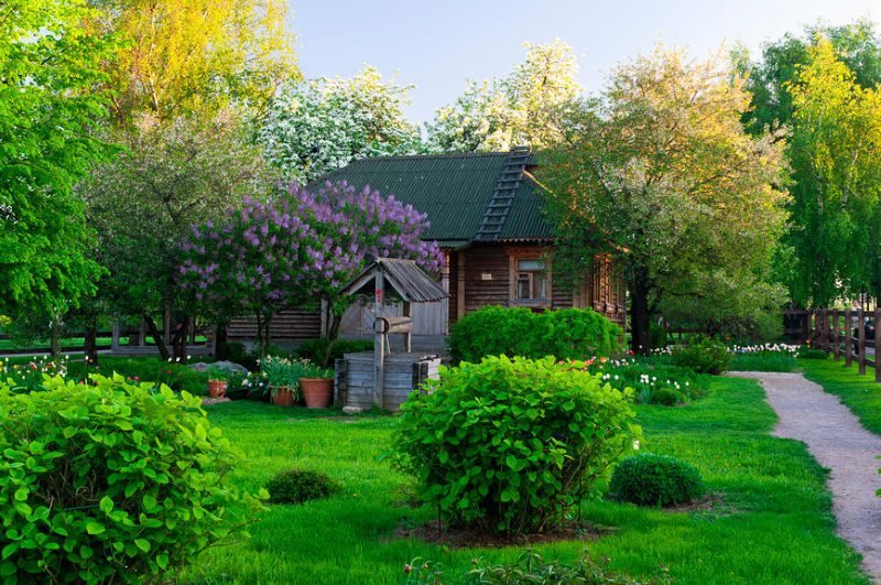 Landscaping of a summer cottage in the style of a Russian estate