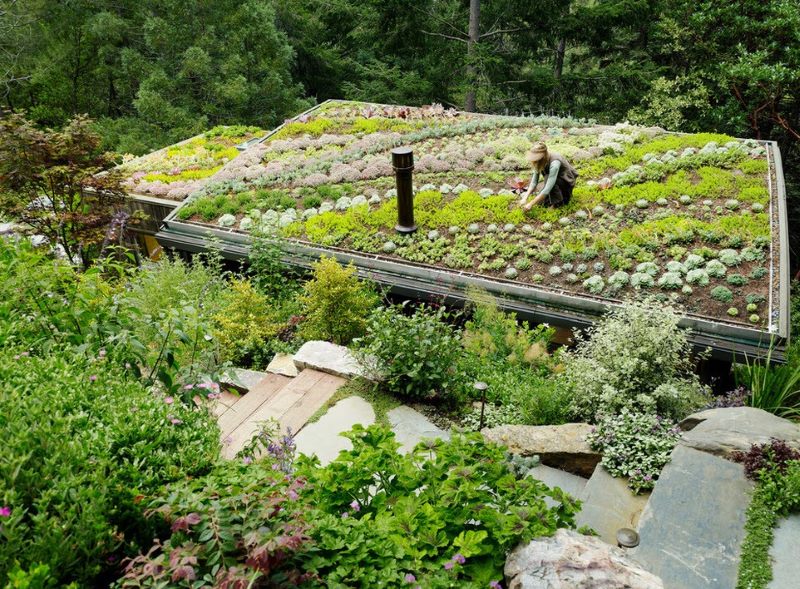 Utiliser le toit plat de la maison comme jardin