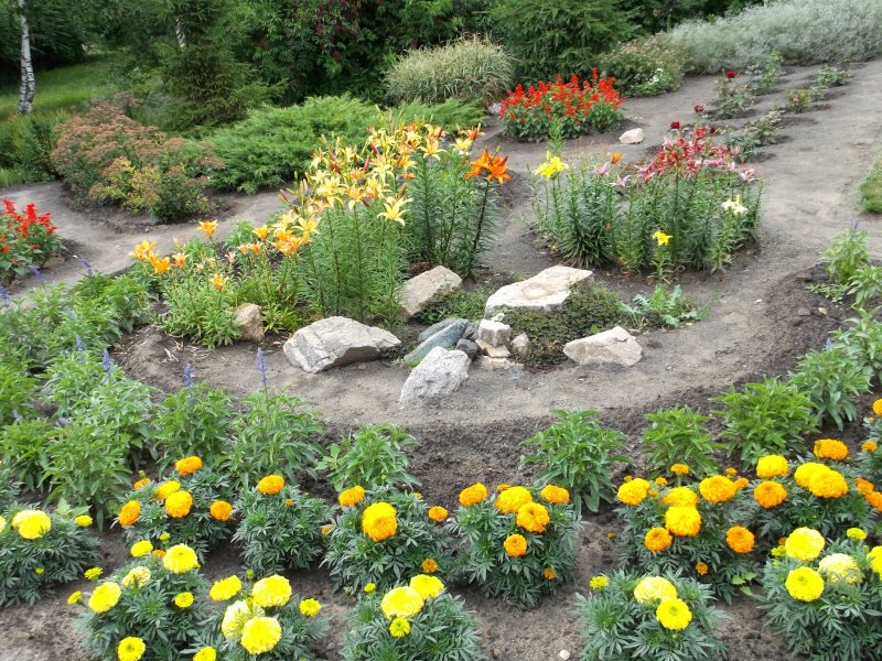 DIY flowerbed with marigolds and lilies on a garden plot