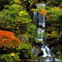 Garden Waterfall Design