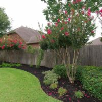 Decorating an old fence with bushes and trees