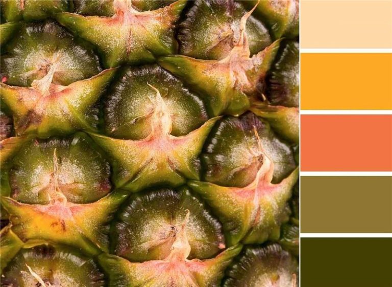 Scheme of combinations of olive color with other shades
