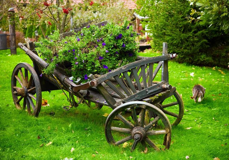 Vieux chariot dans la décoration du jardin