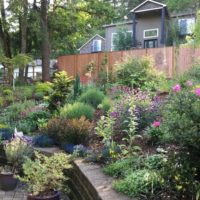 Decorare la pendenza del giardino con piante e fiori