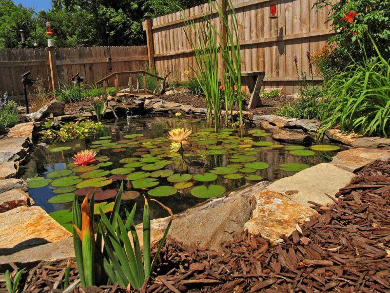 DIY artificial pond in the garden