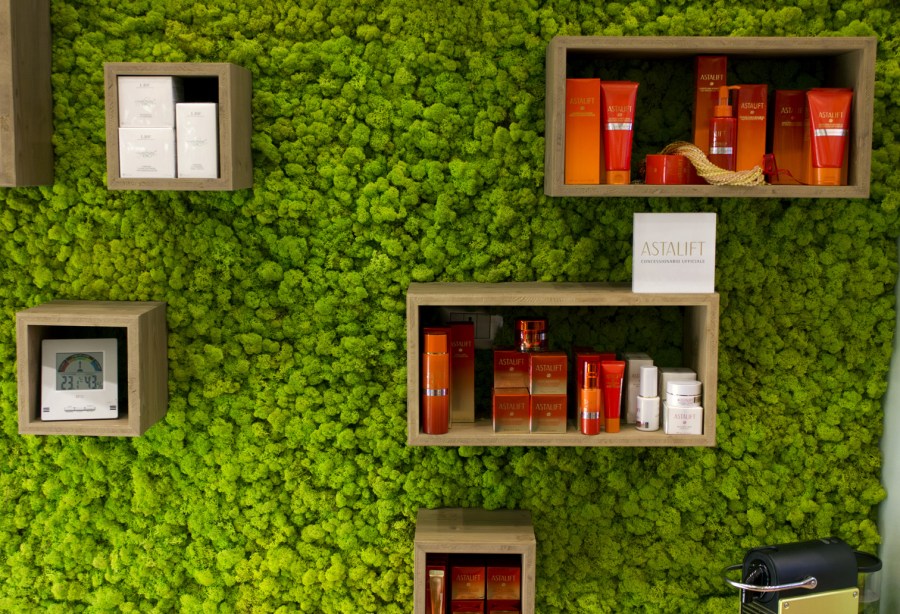 Bookshelves on the green wall of moss