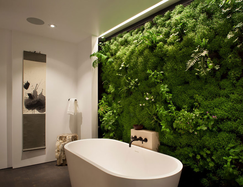 Wall decoration in the bathroom with living plants
