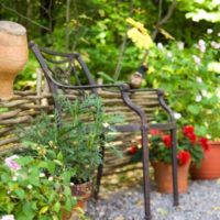 Antique forged chair in the landscape of the garden