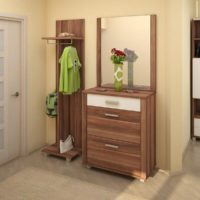 Cabinet furniture for a small hallway