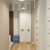 Closed wardrobes in the entrance hall of a city apartment