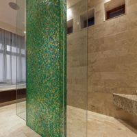 Bathroom partition with green mosaic lining
