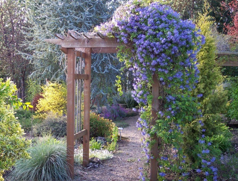 Vrtni luk izrađen od drva u pejzažu ljetne kućice