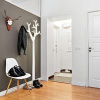 Hanger in the form of a tree in the hallway of a city apartment