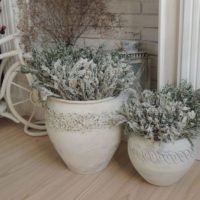Floor vases with herbariums of field plants
