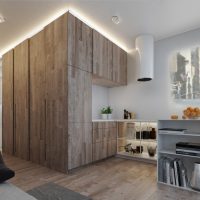 Minimalist kitchen with wooden cabinets