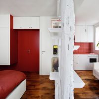 Red and white studio apartment