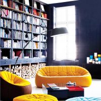 Floor to ceiling book shelves
