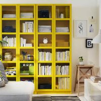 Bookcase with yellow shelves