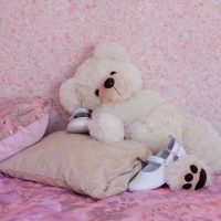 Teddy bear on decorative pillows