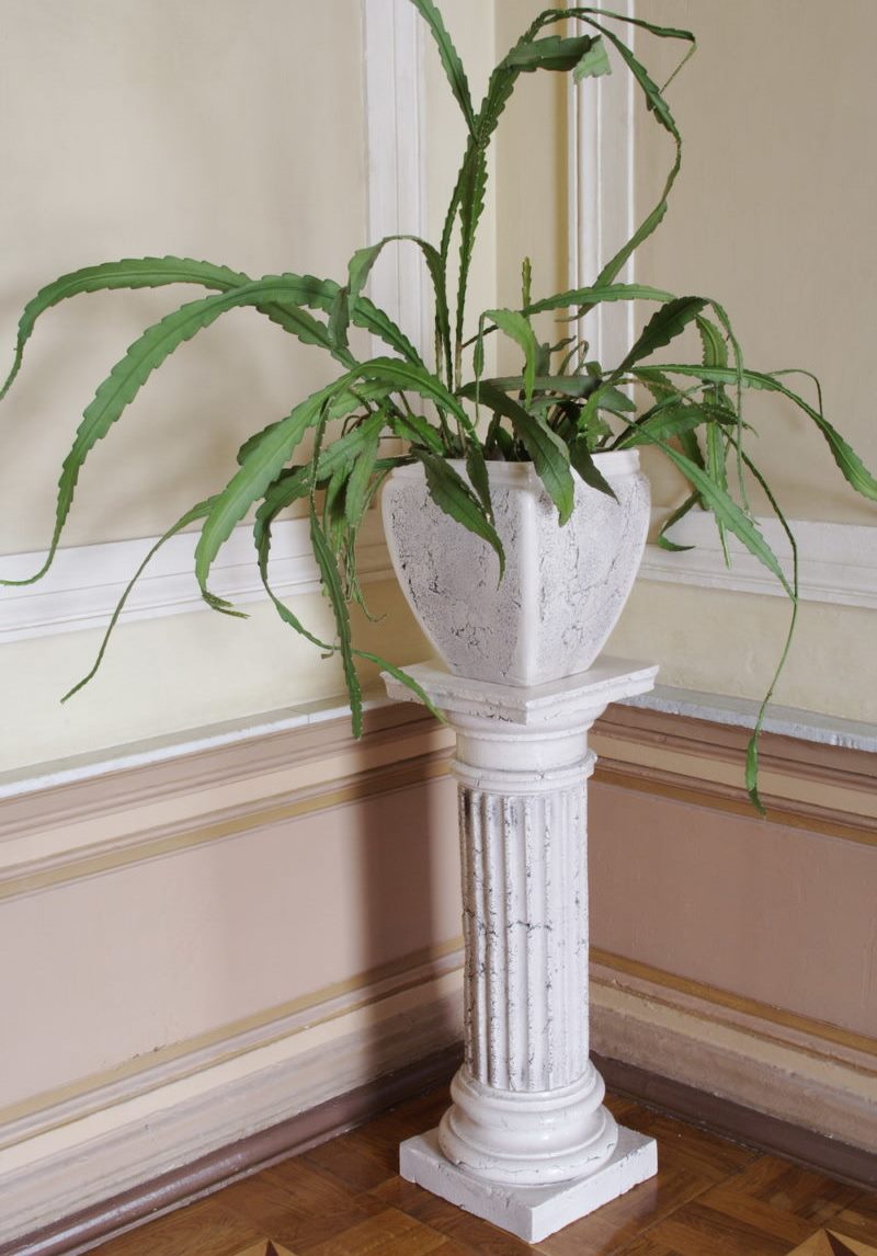 Vase avec une plante sur un socle en pierre