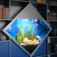 Built-in diamond shaped aquarium
