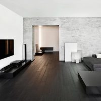 Minimalist living room interior