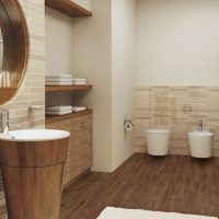 Bathroom design in a contemporary style