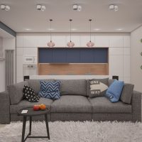 Living Room Design with Gray Sofa