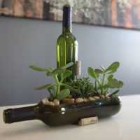 Pot for indoor plants from a glass bottle