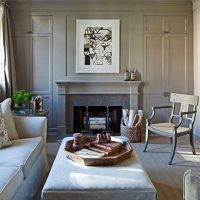 Colore grigio nel design di un soggiorno in una casa a pannelli