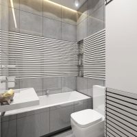 Shared bathroom design in gray tones