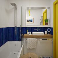 Blue panels on the bathroom wall