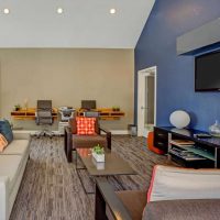 Design per soggiorno con pareti di colore diverso