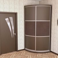 Design of a hallway with a radius cupboard