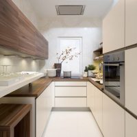 U-shaped kitchen in the style of minimalism