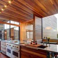 Modern wood paneling kitchen