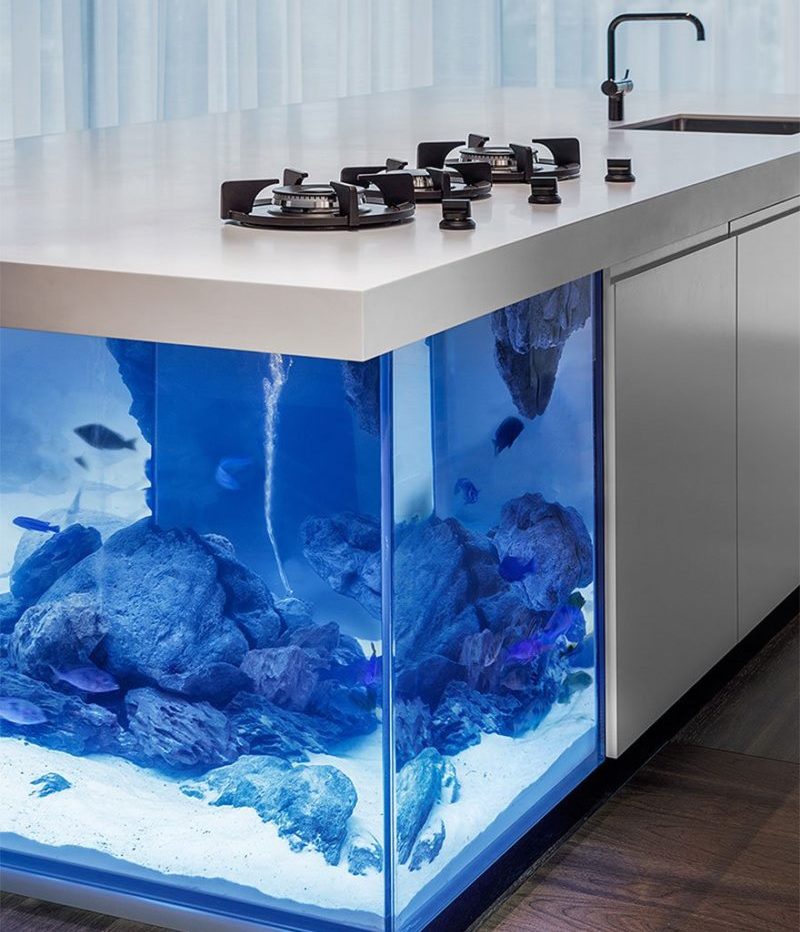 Aquarium built into the kitchen island