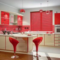 Design of a modern kitchen in red