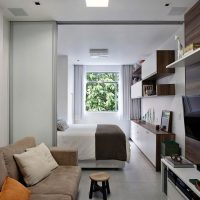 Elongated studio apartment design