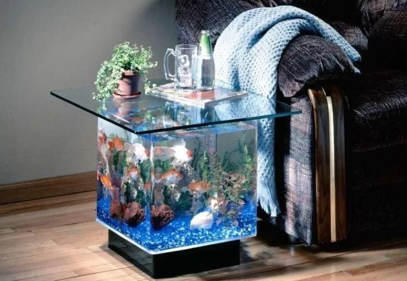 Small aquarium as a piece of furniture