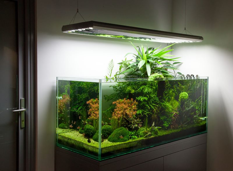 Retroilluminazione a LED sopra un acquario rettangolare