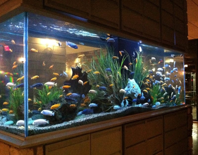Aquarium with a rectangular bottom in the living room