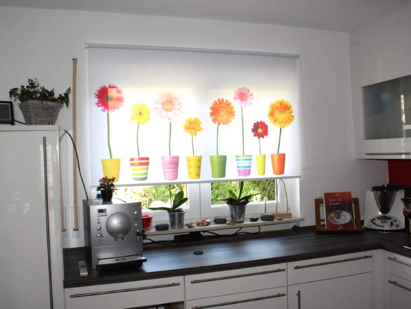 Rideaux enroulés avec impression photo sur la fenêtre de la cuisine d'une maison à panneaux