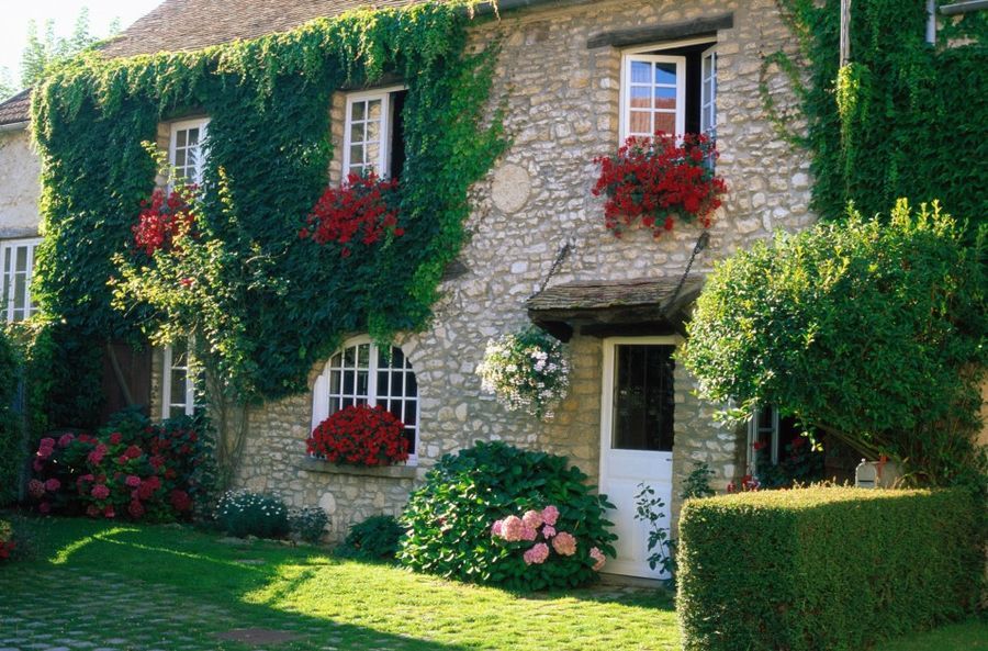 Girl's grapes on the facade of a country house