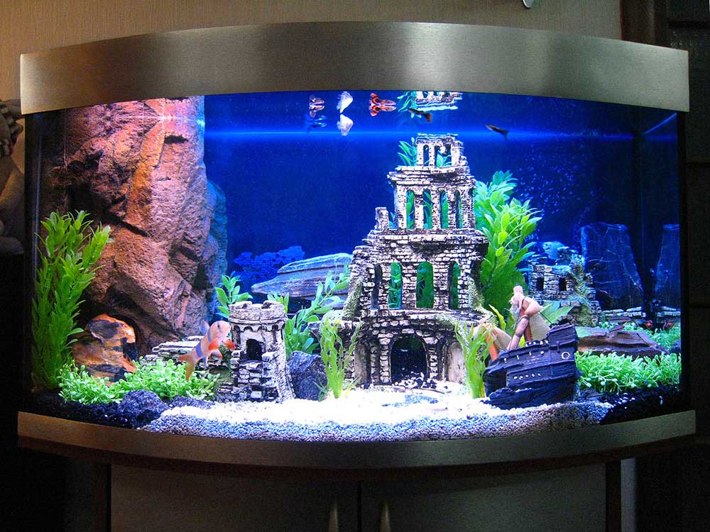 Panoramic aquarium with convex sight glass