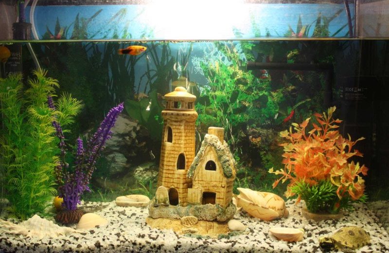 Fairytale castle inside the aquarium