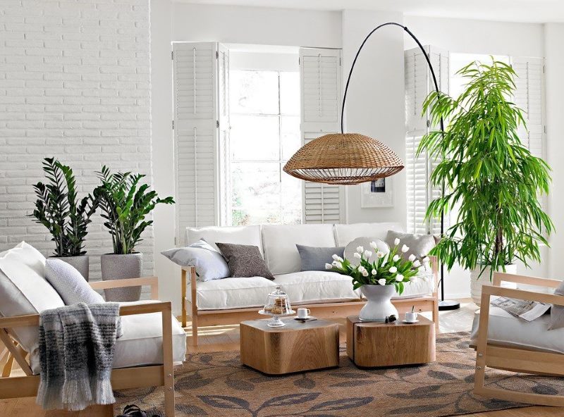 Living plants in the decor of the living room