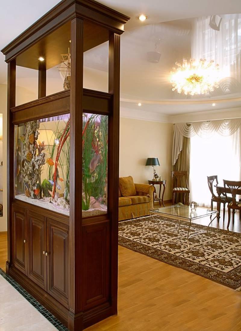 Aquarium cabinet as a space divider
