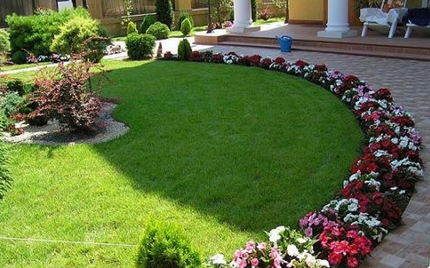 Decoration of the edge of the garden path with petunias